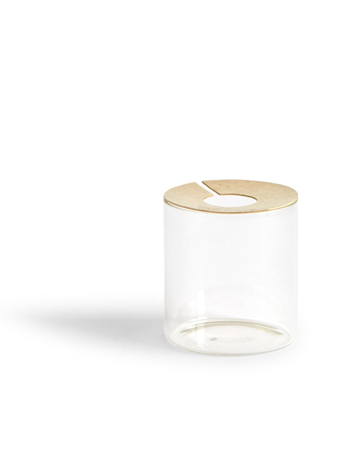 Lid Vision Glass Terrarium - Brass (OUT OF STOCK)