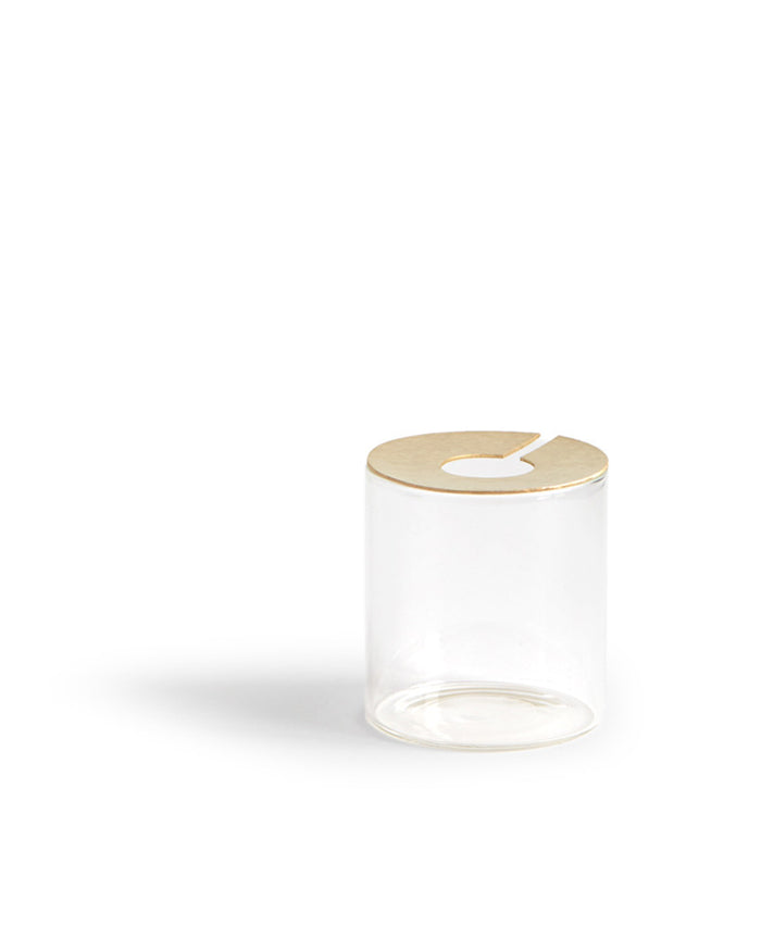 Lid Vision Glass Terrarium - Brass (OUT OF STOCK)