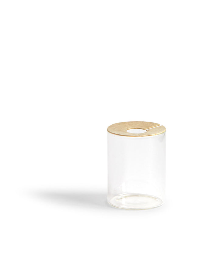 Lid Vision Glass Terrarium - Brass (OUT OF STOCK)