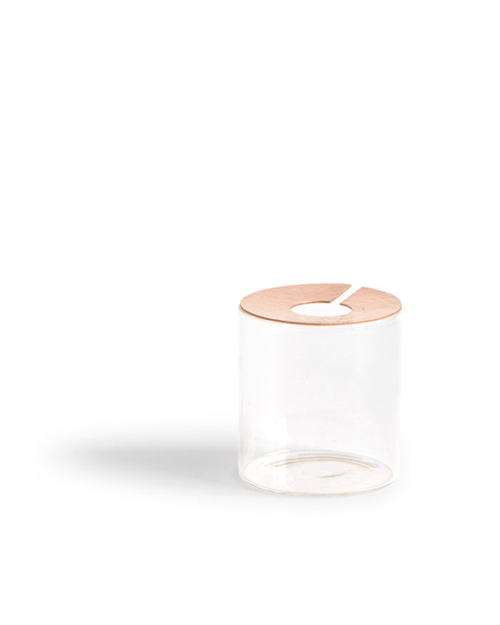 Lid Vision Glass Terrarium - Copper (OUT OF STOCK)