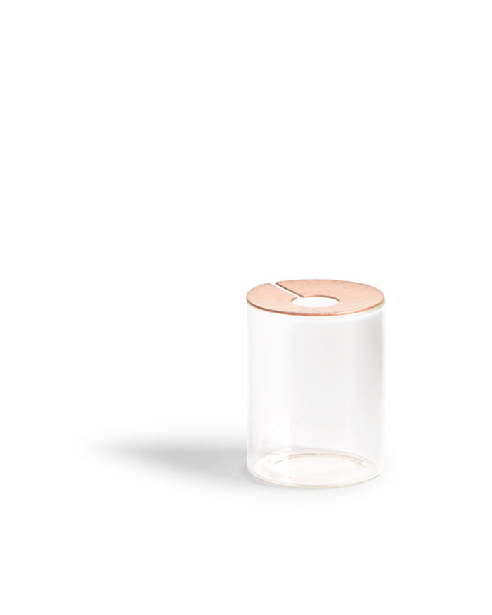 Lid Vision Glass Terrarium - Copper (OUT OF STOCK)