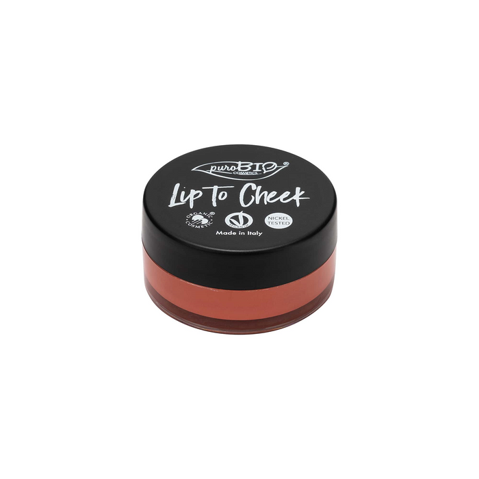 LIP TO CHEEK n. 02 - Pink