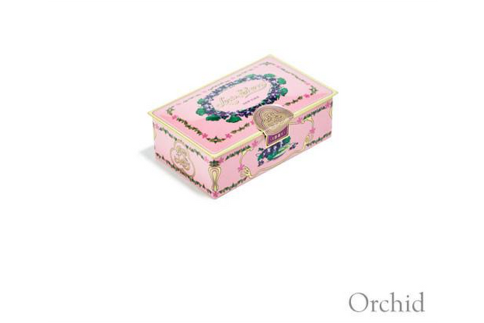 Orchid