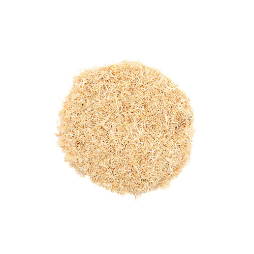 Luffa (Ground)