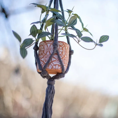 Mini Flourish Plant Hanger