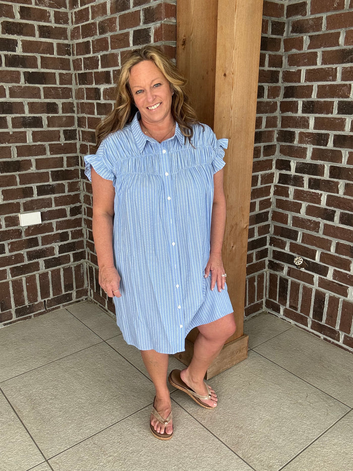 Molly Bracken Smocked Shirt Dress