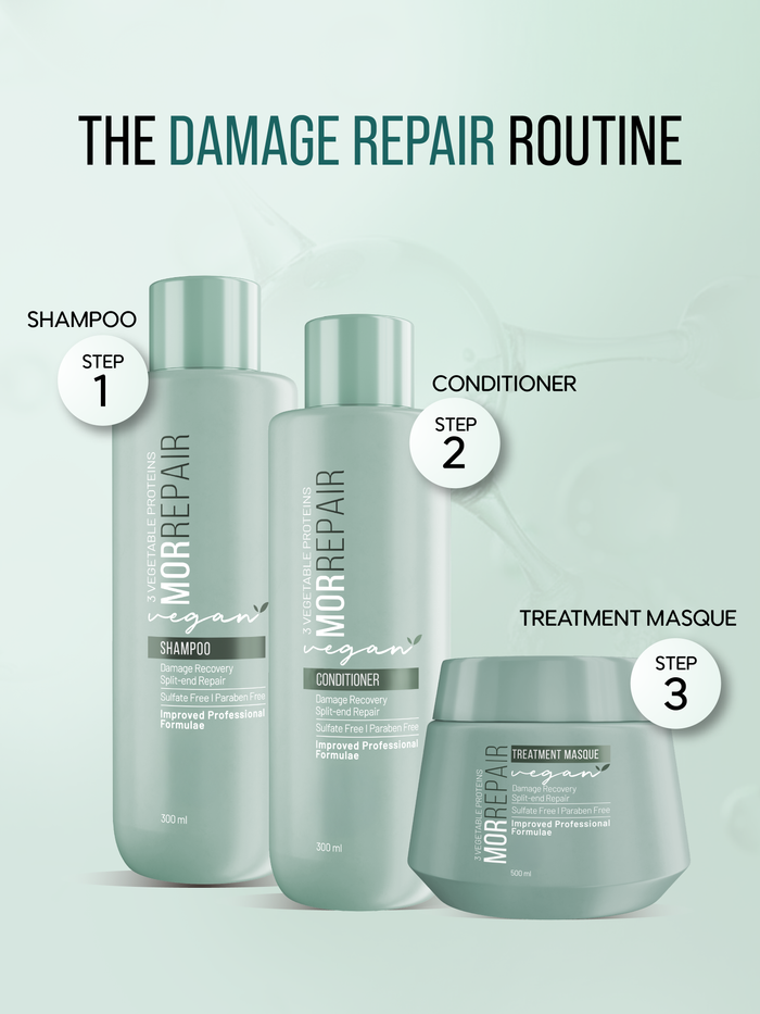mor repair - 4