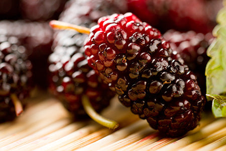 Mulberry Fragrance Oil 15861
