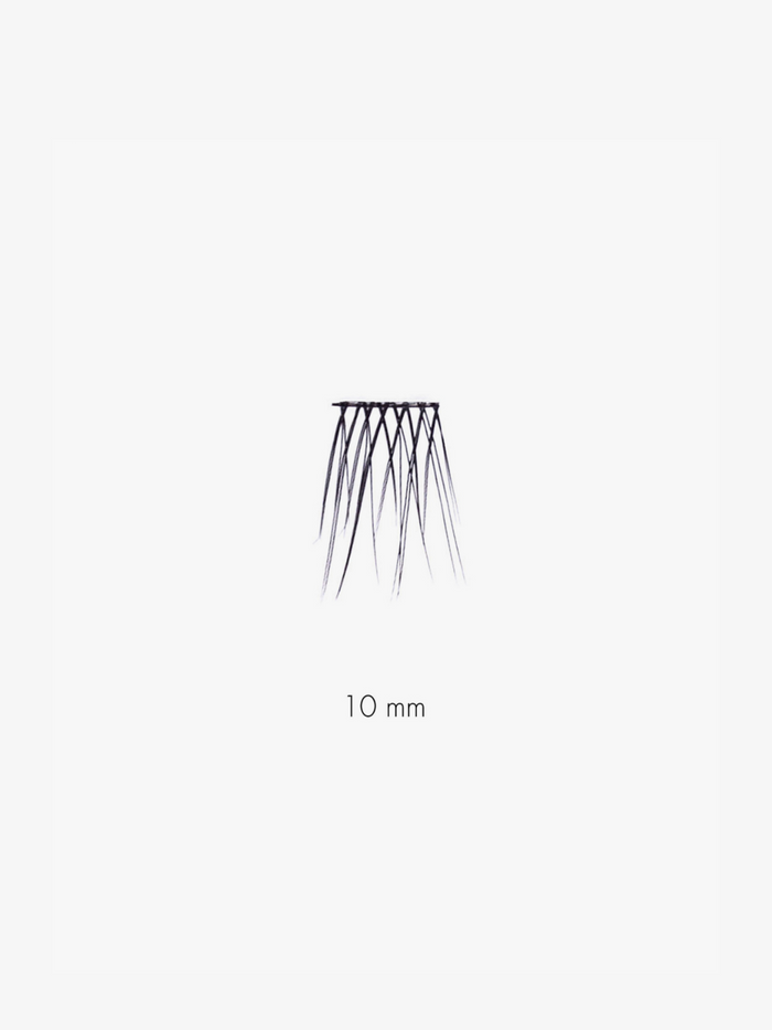 10 MM