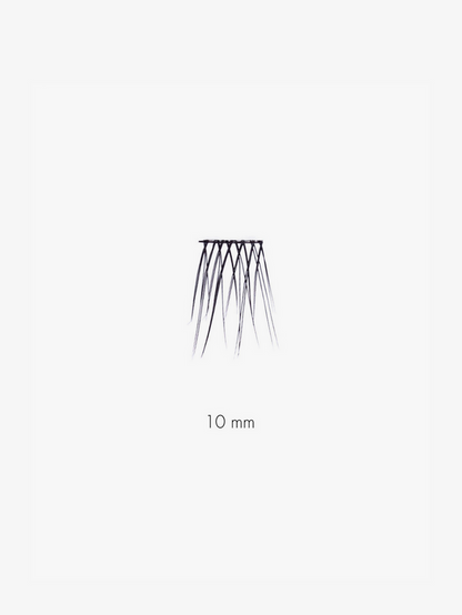 10 MM