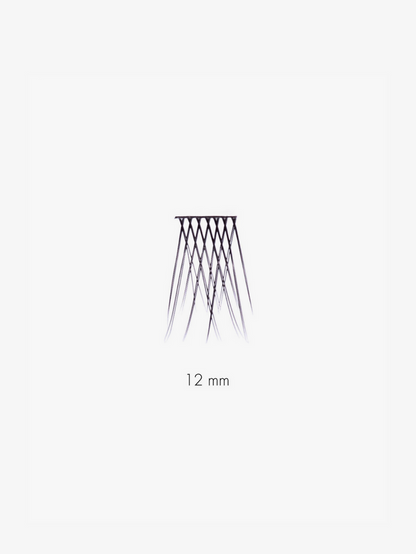 12 MM