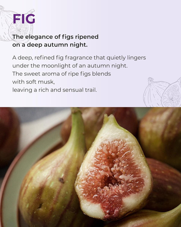 Petit Fig Perfume Body Mist