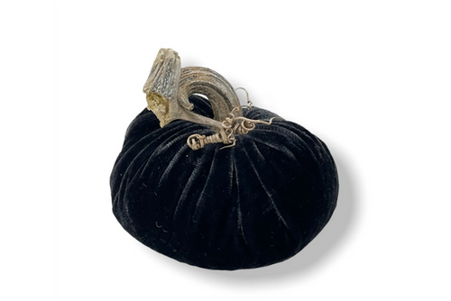 PP Coal Velvet Pumpkin