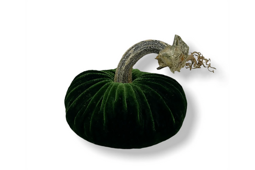 PP Emerald Pumpkin