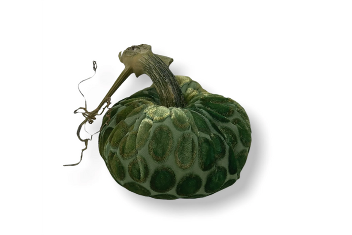 PP Grass Dot Pumpkin