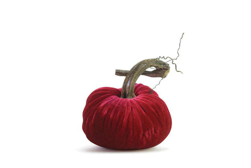 PP Hot Pink Pumpkin