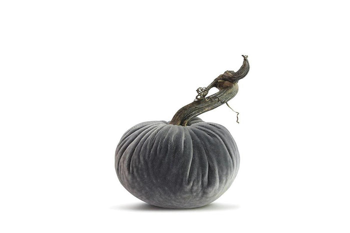 PP Platinum Pumpkin