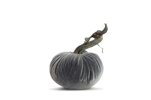 PP Platinum Pumpkin