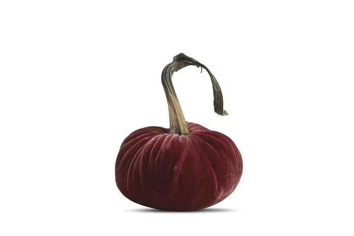 PP Pomegranate Pumpkin