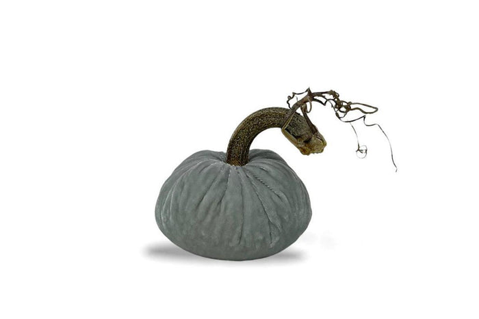 PP Powder Pumpkin