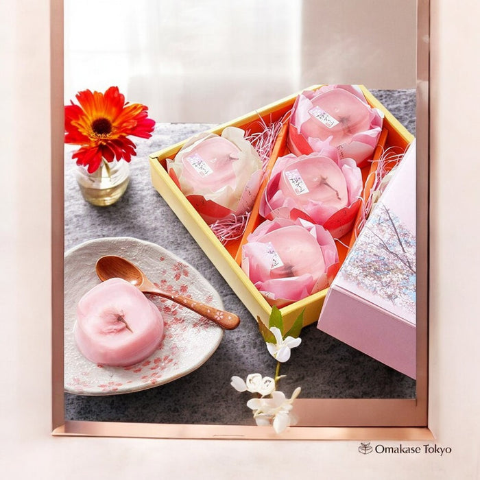 Sakura Cherry Blossoms, Gift Japanese Sweets 5 Pieces