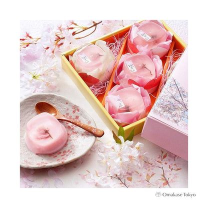 Sakura Cherry Blossoms, Gift Japanese Sweets 5 Pieces