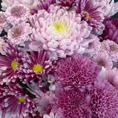 Pink Passion Mix Close Up - Image