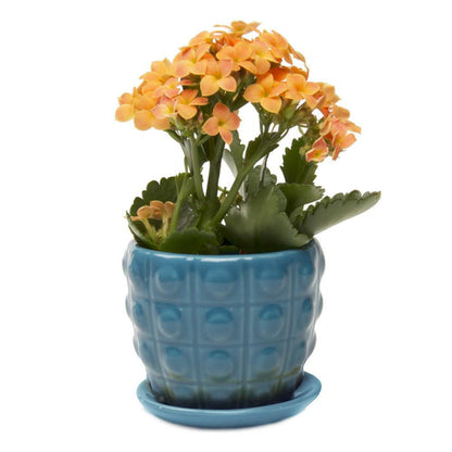 Small pot and saucer