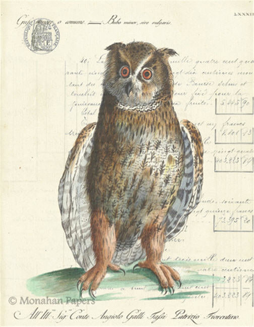 The Barn Owl (011) H26