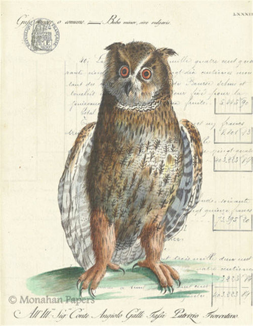 The Barn Owl (011) H26