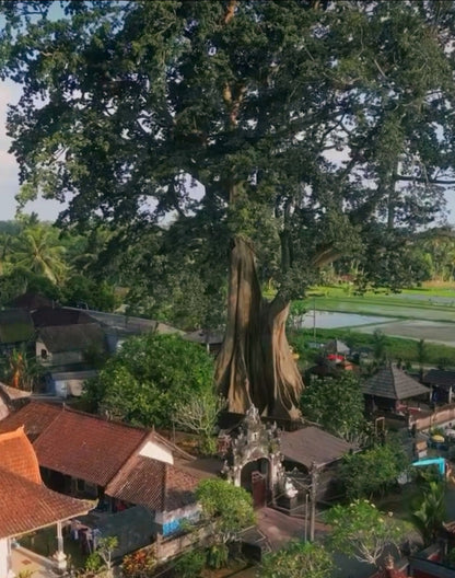 The Immortal - Endurance - Water / Tree Of Life
