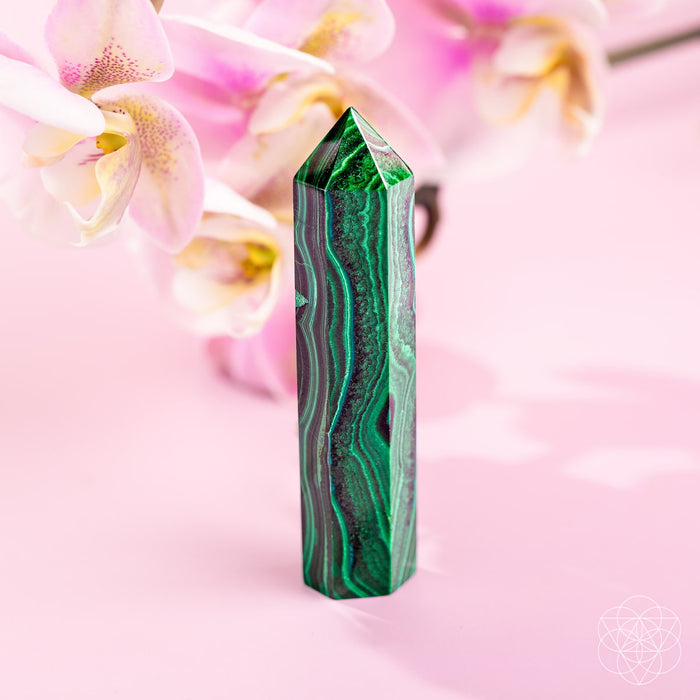 This Changes Everything – Malachite Phoenix Point
