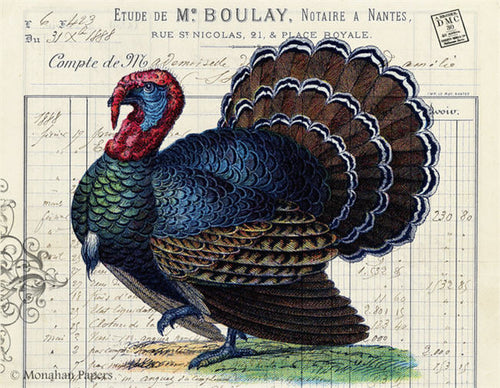 Tom Turkey (015) T25