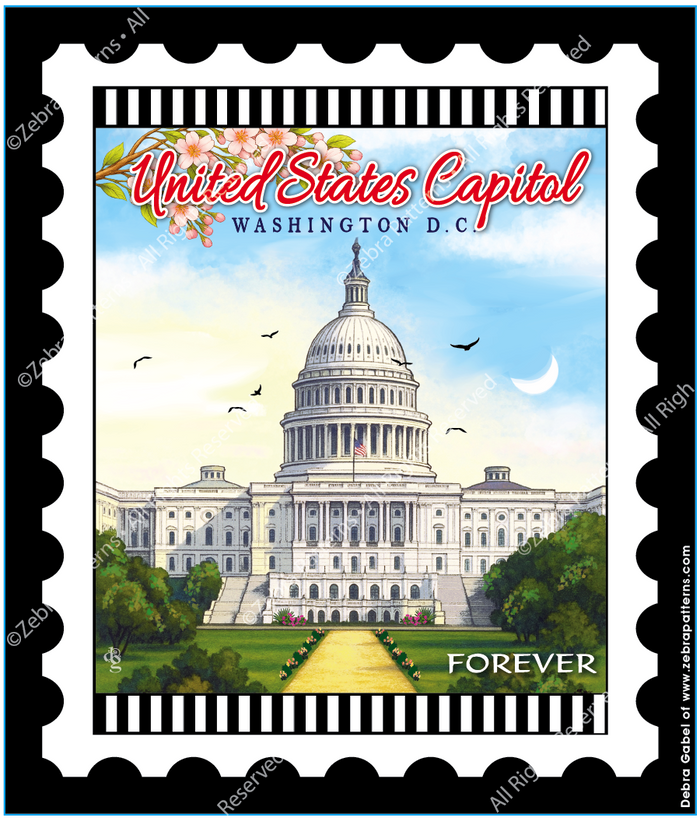 United States Capitol  Washington D.C.