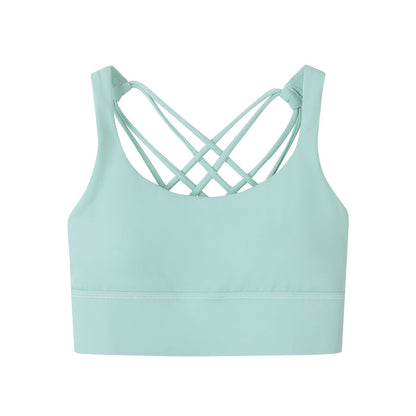 Valerie Sports Bra - Spring Burst