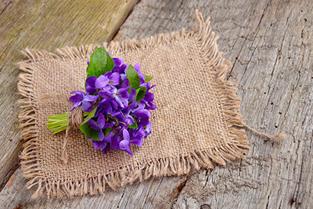 Violet Blush Fragrance Oil 17041