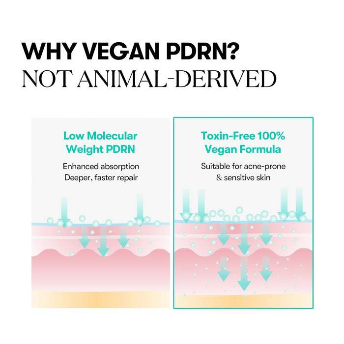 VT PDRN Capsule Cream 100 50ml | VGLE Beauty Canada