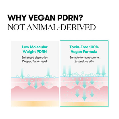 VT PDRN Capsule Cream 100 50ml | VGLE Beauty Canada