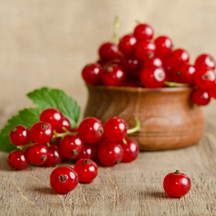 Wild Currant & Sandalwood Fragrance Oil 582
