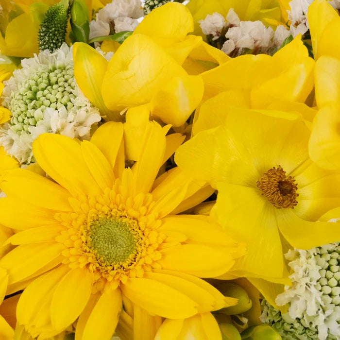 Yellow And White Sunshine Textured Diy Flower Kit Close Up - Image