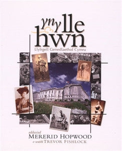 Yn y lle hwn: Llyfrgell Genedlaethol Cymru (clawr meddal) - National Library of Wales Online Shop / Siop Arlein Llyfrgell Genedlaethol Cymru
